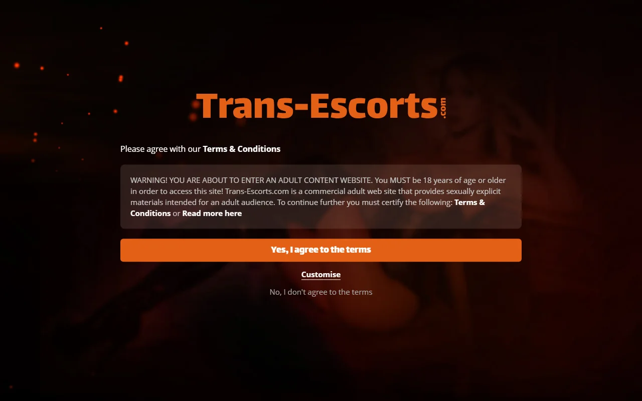 Screenshot: Transescorts Screenshot of Transescorts